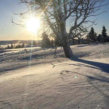 Awesome In With Wifi 아파트 Sjusjoen